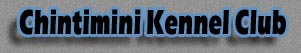 Chintimini Kennel Club